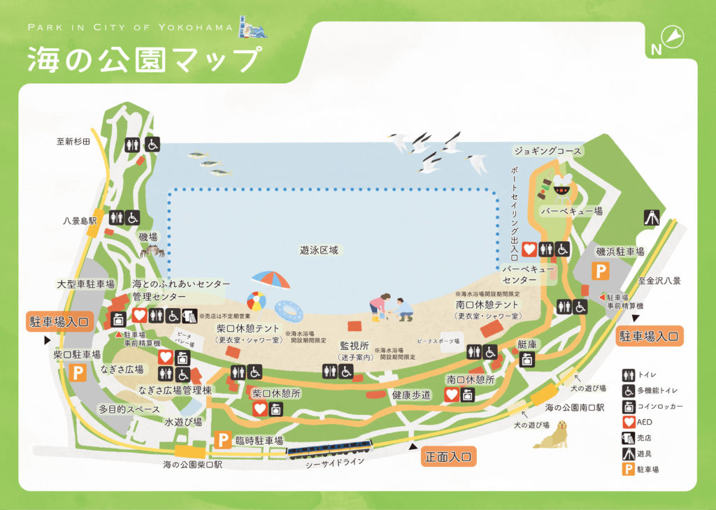 横浜市のランニングコース紹介 海の公園 神奈川県 ランニング研究所