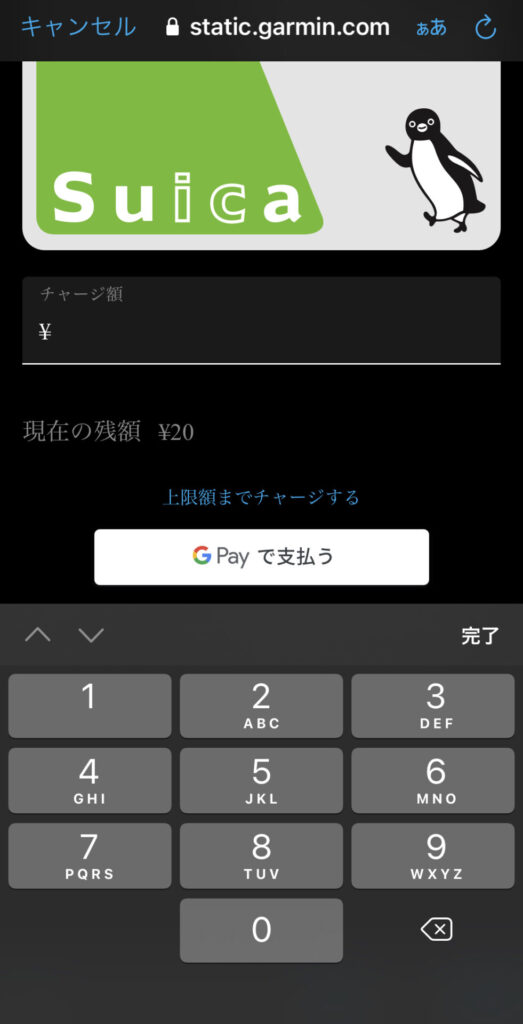 ガーミンペイチャージ金額入力画面
